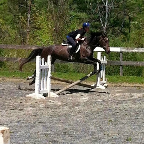 Meet your Posher, Josephine - Picture 1 of 1